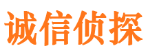 隆安侦探公司